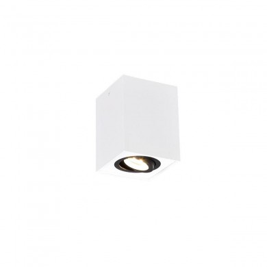 Plafonnier BISCUIT 1x35W Noir blanc TRIO LIGHTING 613000134