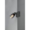 Applique murale CADIZ 1x4W E14 Anthracite TRIO LIGHTING R81781042