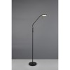 Lampadaire MORENO 3W LED Noir mat TRIO LIGHTING R44561132