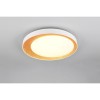 Plafonnier ALETA 24W LED Or TRIO LIGHTING R64611179