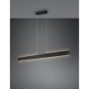 Suspension GALWAY 35W LED Noir mat TRIO LIGHTING 349710132