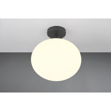 Plafonnier FOMENTO 1x8,5W E27 Noir mat TRIO LIGHTING 663100132