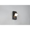 Applique RAGLAN 3,8W LED Noir mat TRIO LIGHTING 248570132