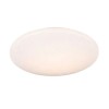 Plafonnier Salle de Bain POLLUX 15W LED Blanc TRIO LIGHTING R67839100