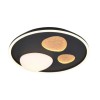 Plafonnier PEBBLE 36W LED Noir mat TRIO LIGHTING 643110132