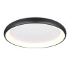 Plafonnier CARDONA 59W LED Noir mat TRIO LIGHTING 649617532