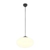 Suspension FOMENTO 1x8,5W E27 Noir mat D40 TRIO LIGHTING 363190132