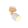 Plafonnier SHANTI 1x4W E14 Gris chaud TRIO LIGHTING 862700176