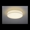 Plafonnier Lugano Blanc 1x40W SMD LED TRIO LIGHTING 621914001