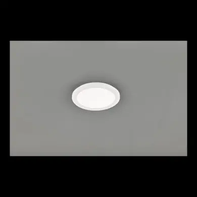 Plafonnier Camillus Blanc 1x15W SMD LED REALITY R62921501