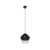 Suspension Borka 1x40W E27 Noir 30cm TRIO LIGHTING R31261902