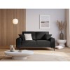 Canapé velours Larnite Gris Foncé Pieds Métal Chromé Noir 2 Places BOUTICA DESIGN MIC_2S_51_B2_LARNITE11