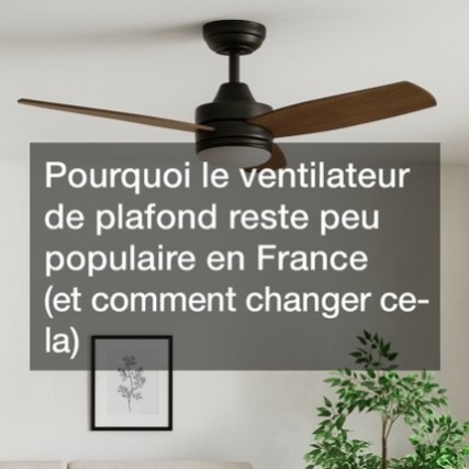 Pourquoi le ventilateur de plafond reste peu populaire en France